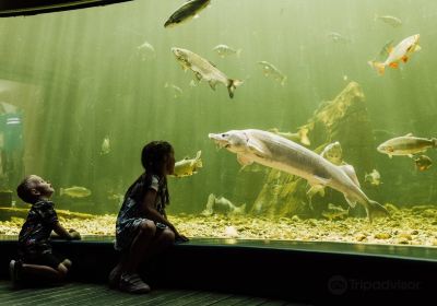 Maretarium Aquarium