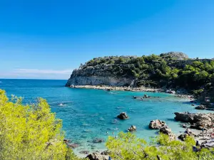 Anthony Quinn Bay