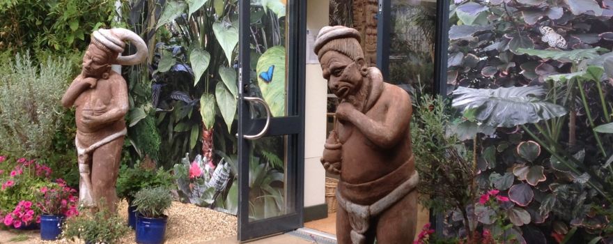 Stratford Butterfly Farm