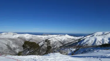 Hotham Heights