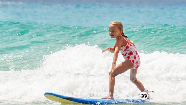 Blackdog Surf School Byron Bay