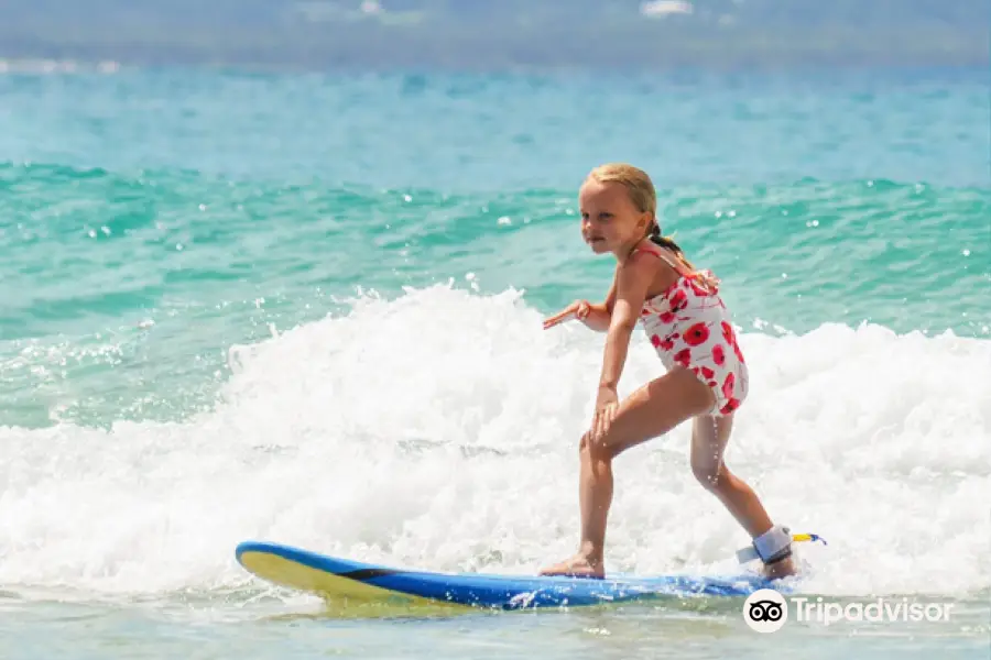 Blackdog Surf School Byron Bay