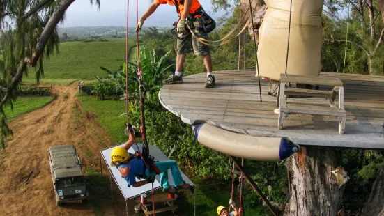 Kohala Zipline