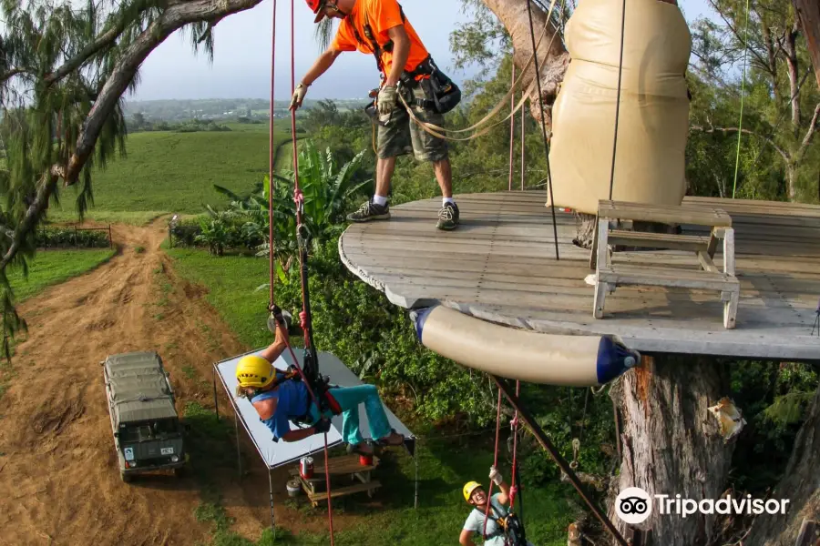 Kohala Zipline