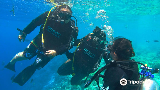 Ocean Junkies Dive Centre