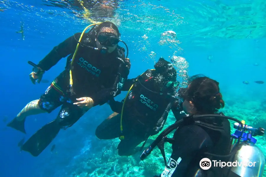 Ocean Junkies Dive Centre