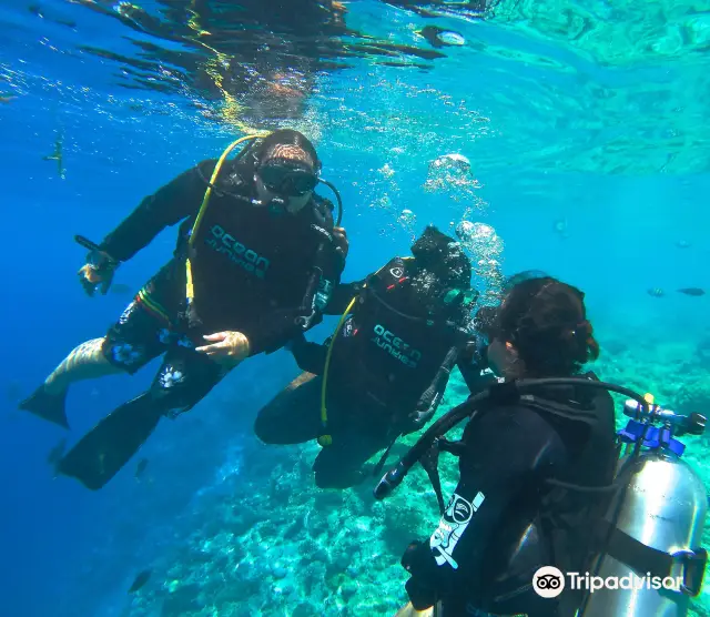 Scuba Diving in Malé