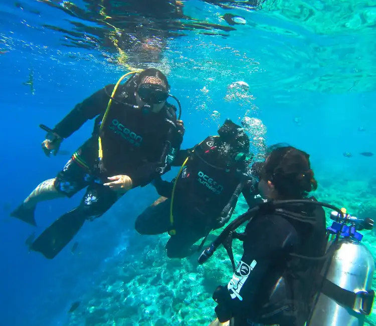 Hotels near Ocean Junkies Dive Centre
