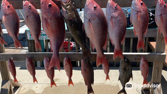 The Reel Contender Fishing Charter
