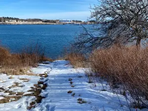 Shackford Head State Park
