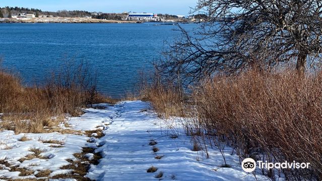 Shackford Head State Park
