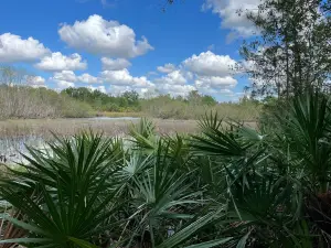 Prairie Pines Preserve