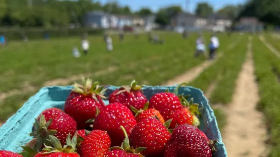 Von Thun's Country Farm Market