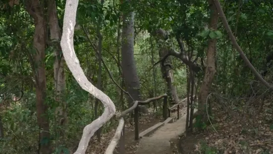 Chocoyero-El Brujo Natural Reserve