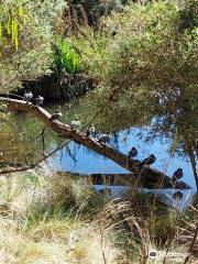 Valley Lake Conservation Park