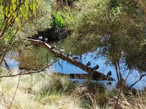 Valley Lake Conservation Park