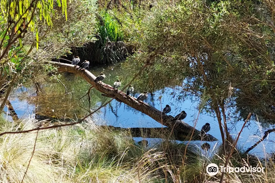 Valley Lake Conservation Park