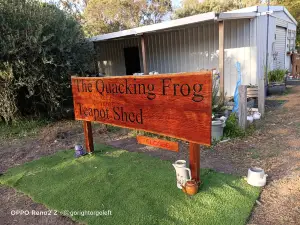 The Quacking Frog Teapot Shed