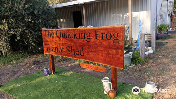 The Quacking Frog Teapot Shed
