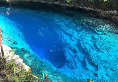 Enchanted Blue River