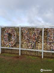 Courtship Maze