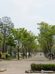 Hyowon Park