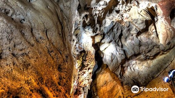 Cutta Cutta Caves Nature Park