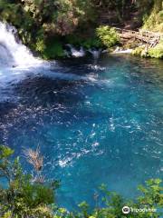 Parque Ojos del Caburgua