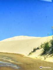 Giant Sand Dunes