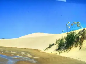 Giant Sand Dunes