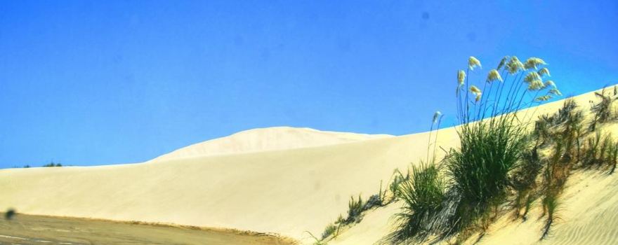 Giant Sand Dunes