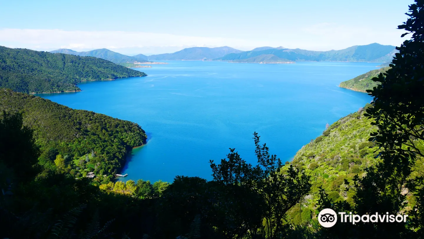 5_Трек Королевы Шарлотты