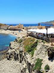 Parque Natural del Cabo de Gata-Níjar