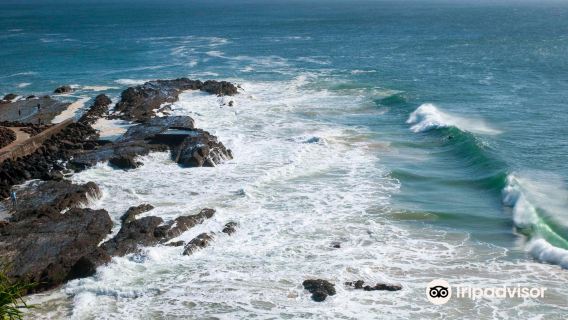 Snapper Rocks