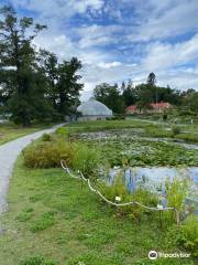 Bergianska trädgården