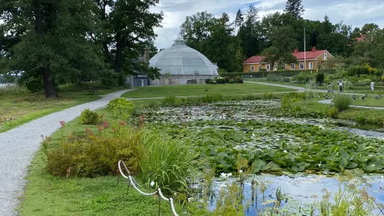 Bergius Botanic Garden