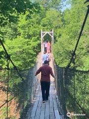 The Swinging Bridge