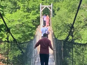 The Swinging Bridge