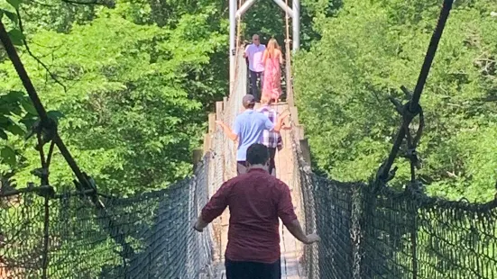 The Swinging Bridge