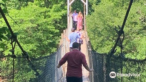 The Swinging Bridge