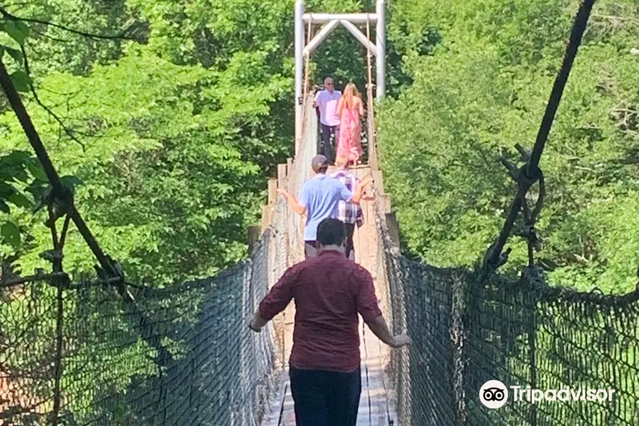 The Swinging Bridge