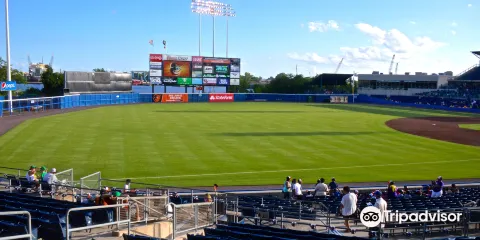 Harbor Park