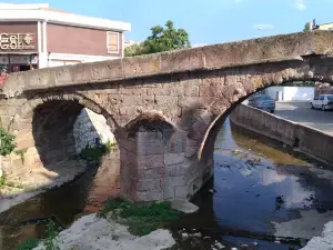 Tas Kopru