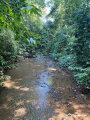 Carara National Park