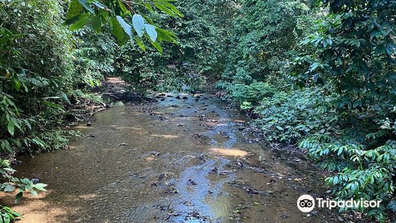 Carara National Park