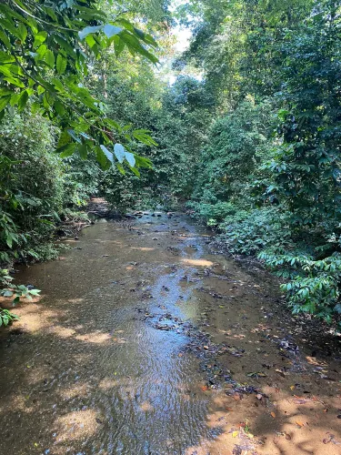 Carara National Park