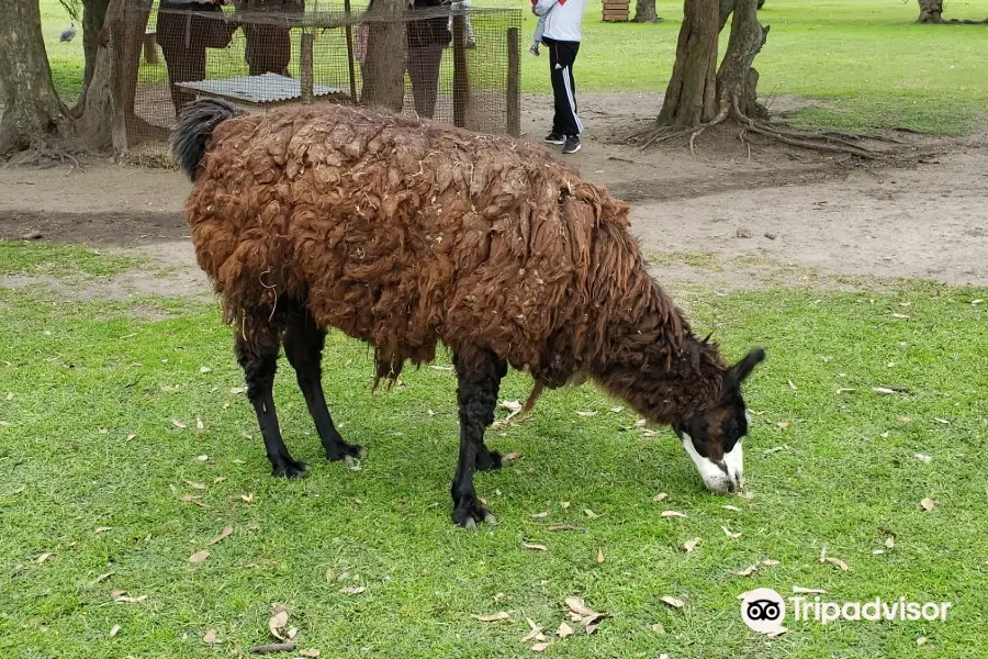 Granja La Administracion