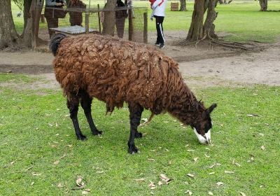 Granja La Administracion