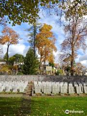 Rasu Cemetery (Rasu kapines)