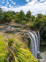 Whangarei Falls